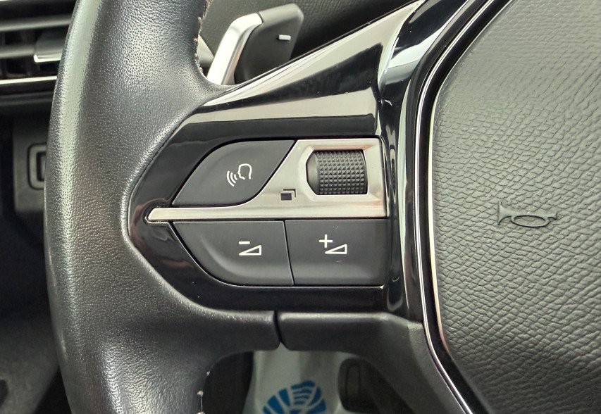 Peugeot 3008 2020 сірий