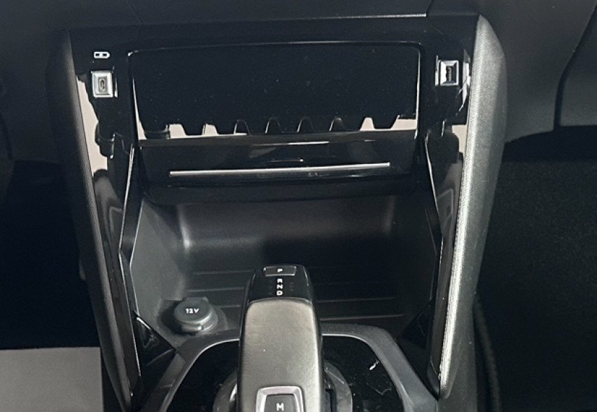 Peugeot 2008 2020 Сірий 