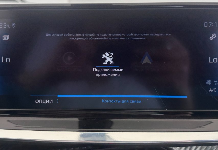 Peugeot 2008 2020 Сірий 