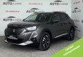 Peugeot 2008 2020 Сірий 