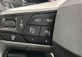 Seat Tarraco  2021 Сірий